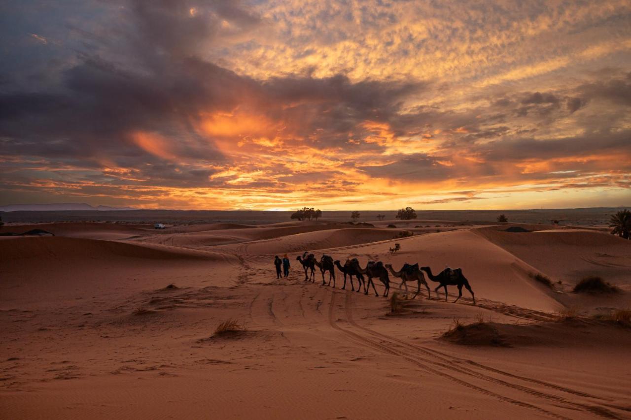 Paradis Du Sahara مرزوكة المظهر الخارجي الصورة
